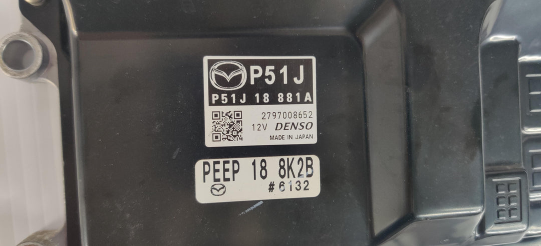 2013 -
  2016
  
  3
  Maxx
  ECU
  P51J18881A