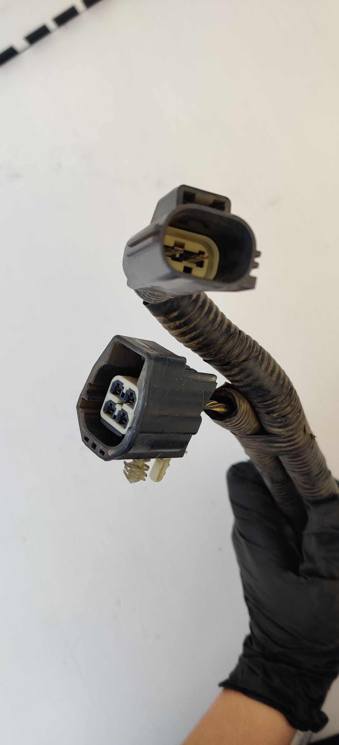 2015 -
  2019
  Ford
  Ranger
  Wildtrak
  Towbar Wiring Harness