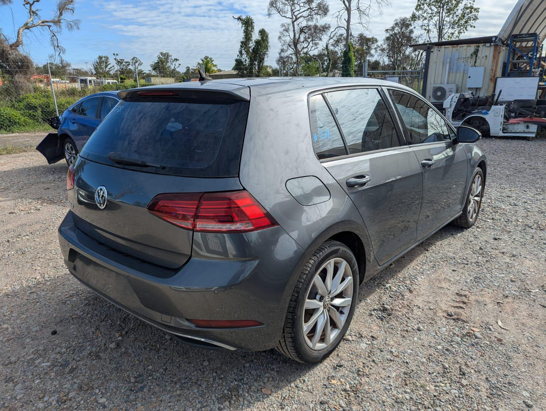 2019 Volkswagen Golf - Engine PN: CZDA