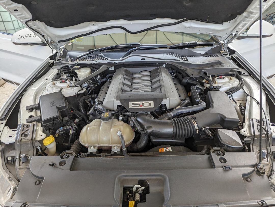 Overflow Bottle - 2016 Ford Mustang GT