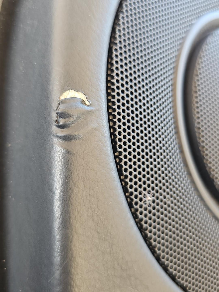 2020 Lexus GS350 - Right Rear Door Trim