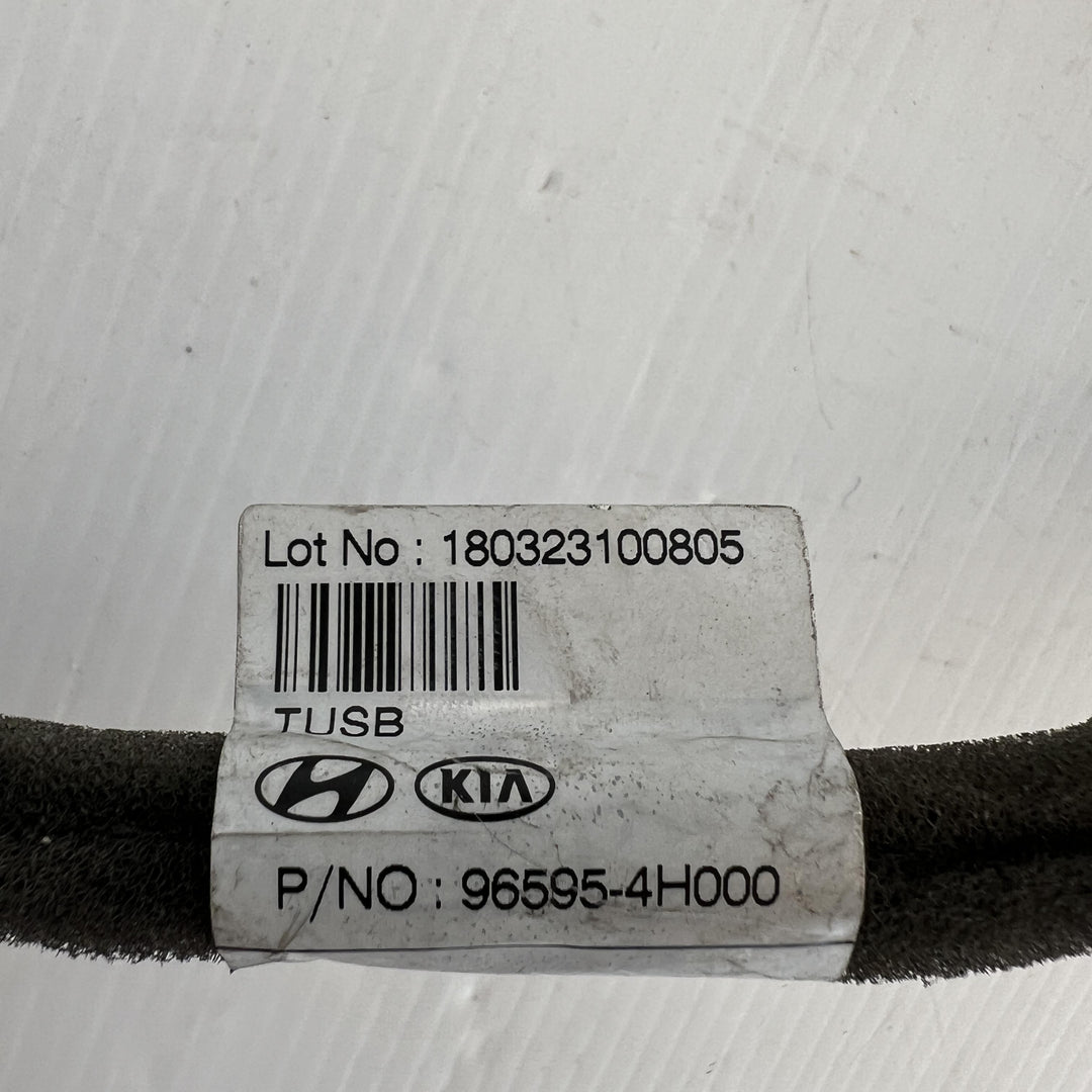 2018 Hyundai iLoad TQ - Cable PN: 965954H000