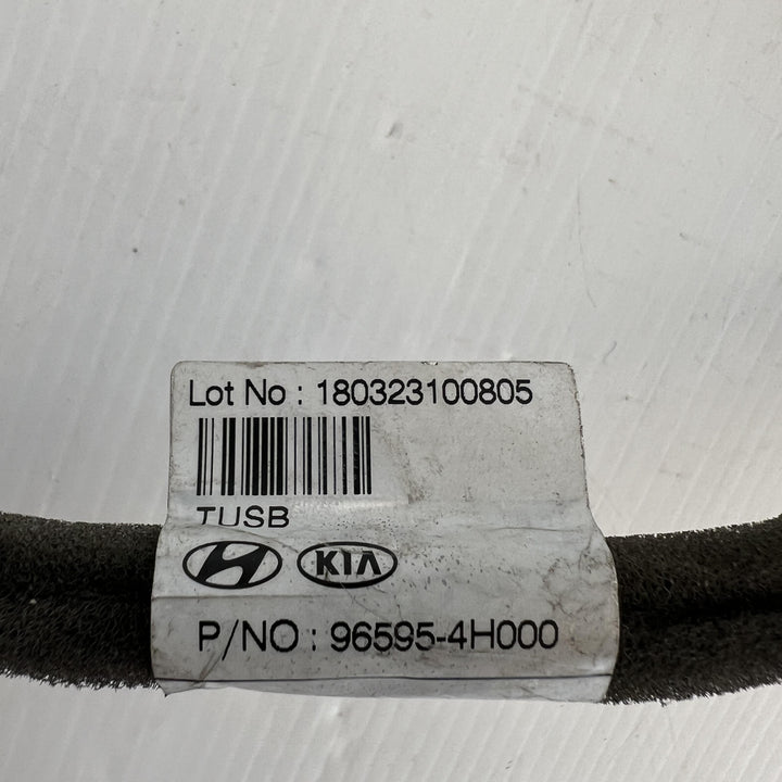 2018 Hyundai iLoad TQ - Cable PN: 965954H000