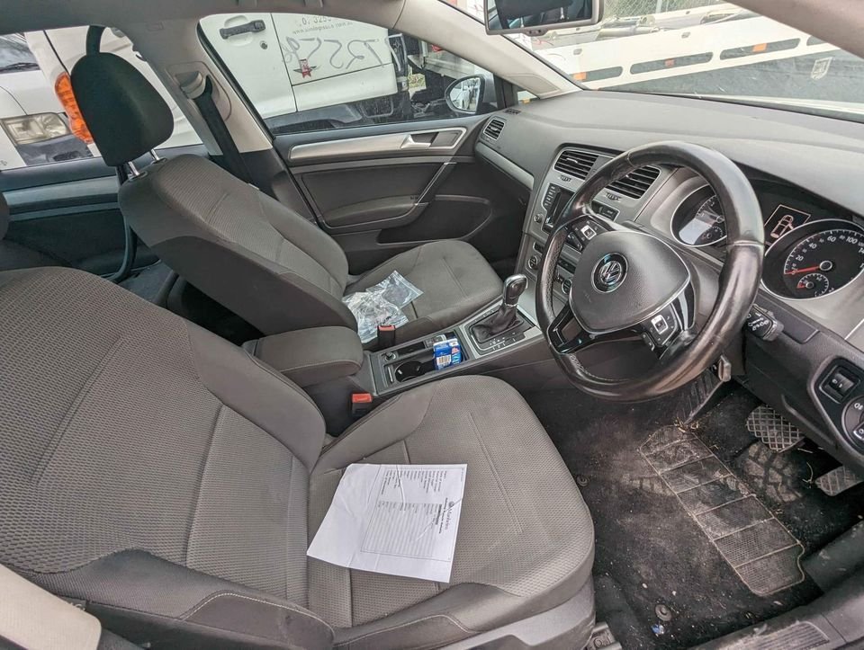 2012-2020 Volkswagen Golf 90TSI Comfortline Left Rear Door Shell