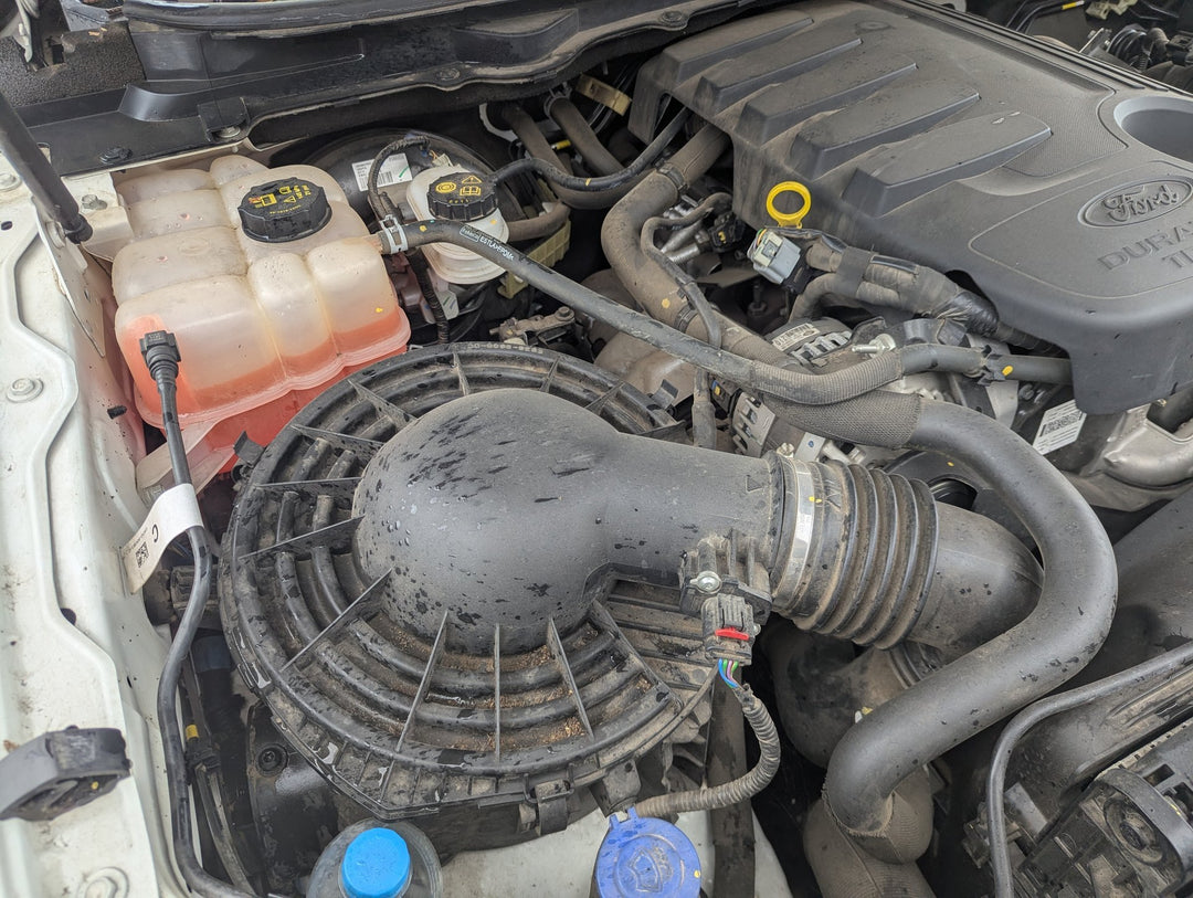 2016 Ford Ranger PXII XLT 3.2 Diesel Manual - Trans/Gearbox
