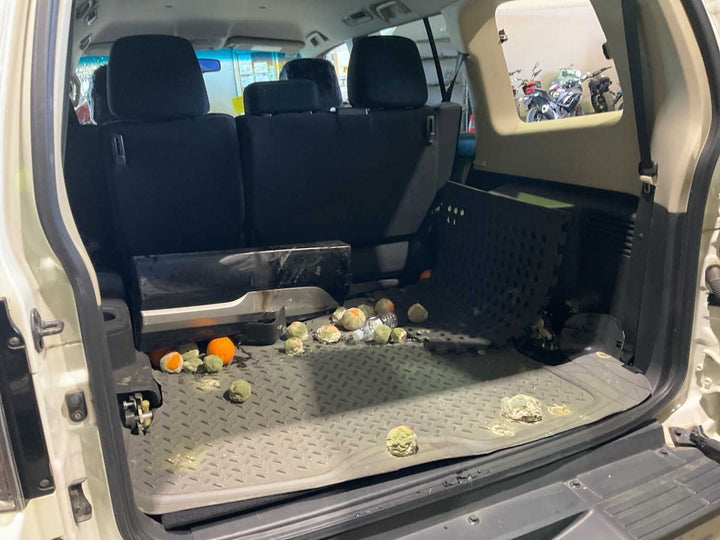 2017 Mitsubishi Pajero NX