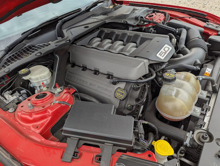Aug 2015 to Apr 2023 - Ford Mustang FM FN - Hoodlining