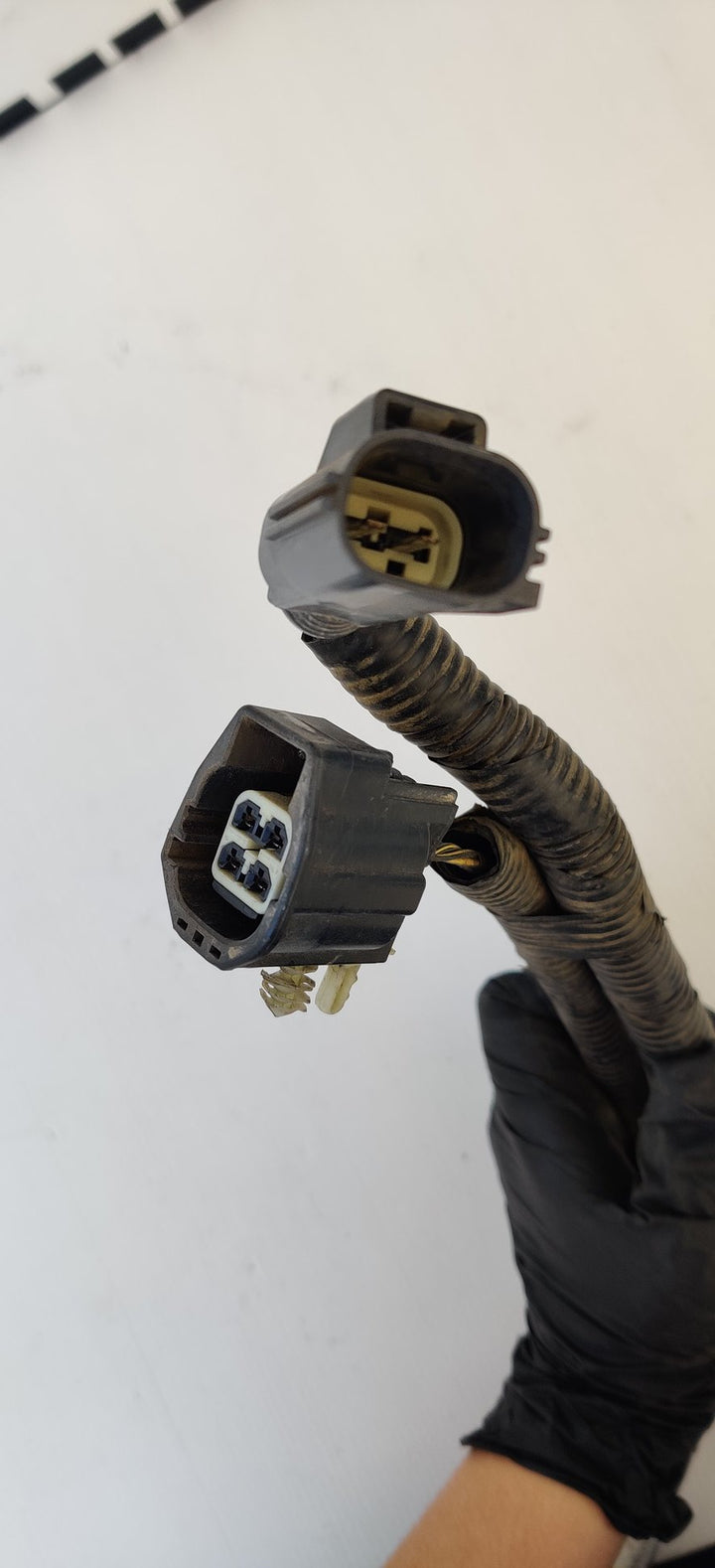 2015-2019 Ford Ranger Wildtrak Towbar Wiring Harness