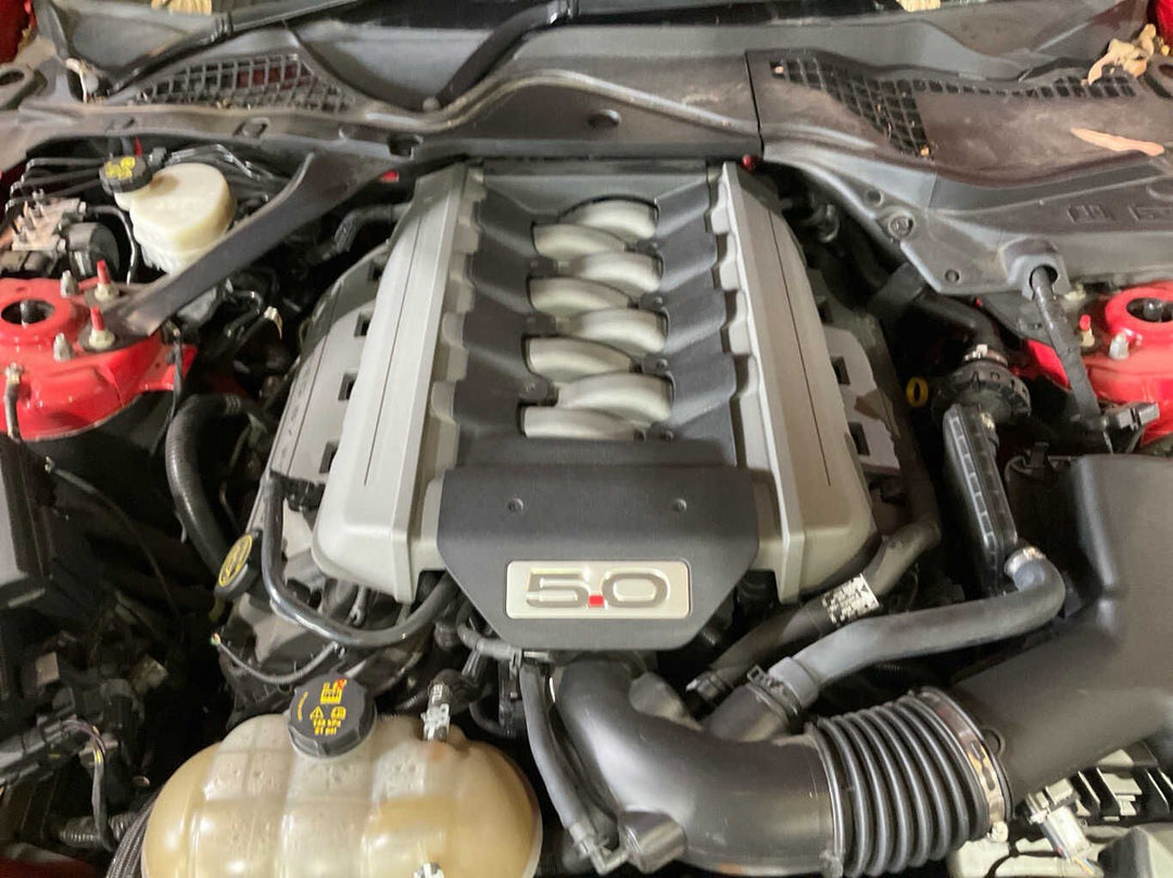 2017, Ford, Mustang, GT, FM, 1FA6P8CF3H5324410