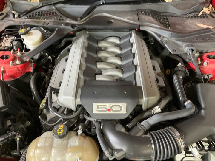 2017, Ford, Mustang, GT, FM, 1FA6P8CF3H5324410
